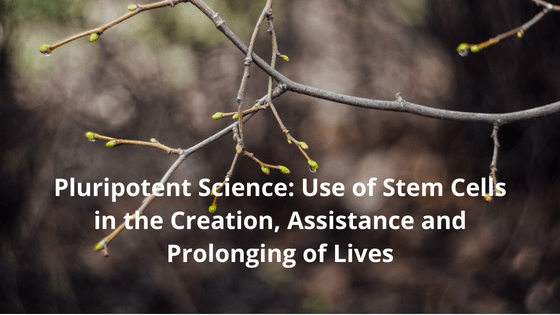 Pluripotent Science: Use of Stem Cells in the Creation, Assistance and Prolonging of Lives